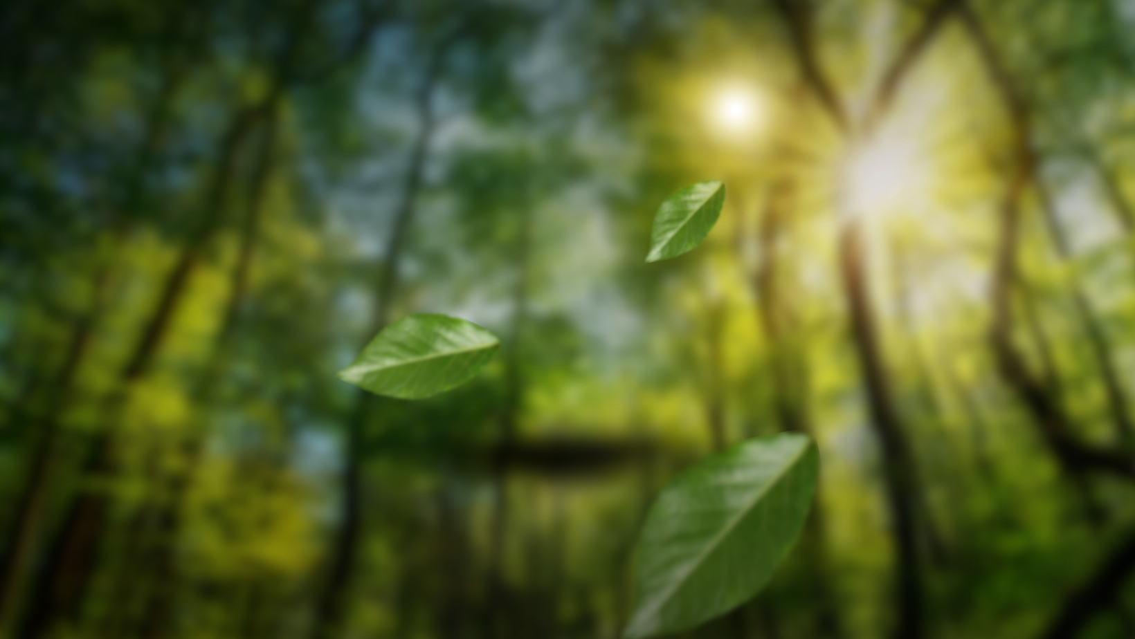 ANNUAL FREE TREE PROGRAM