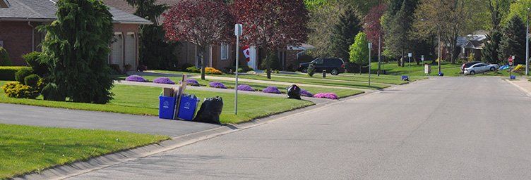 residential road with driveways lining the road, garbage and recycling are set at the curb